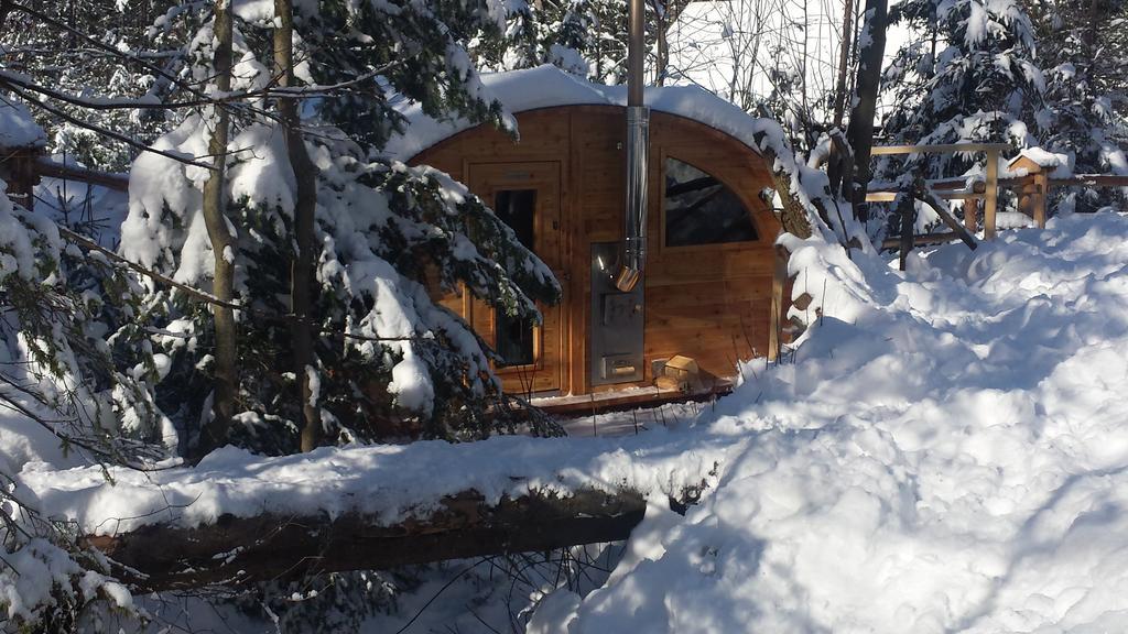 Willa Gusia, Apartamenty Zakopane Dış mekan fotoğraf