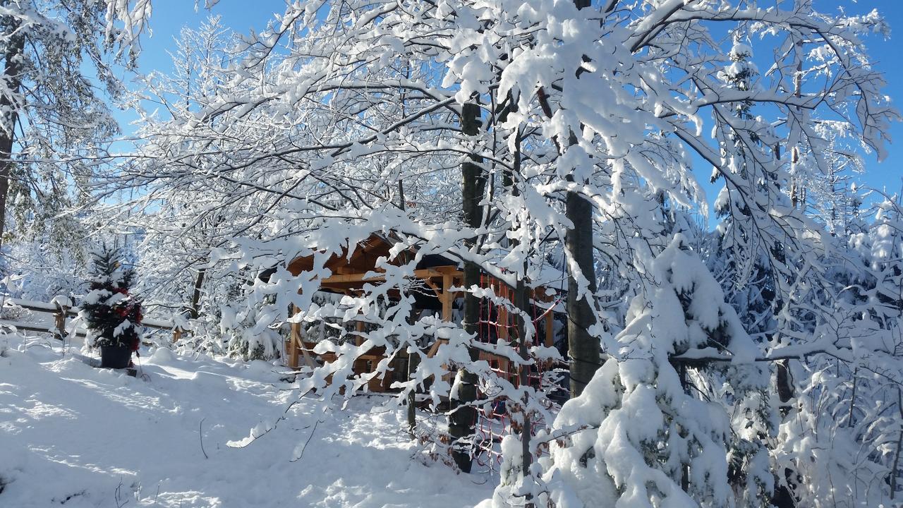 Willa Gusia, Apartamenty Zakopane Dış mekan fotoğraf