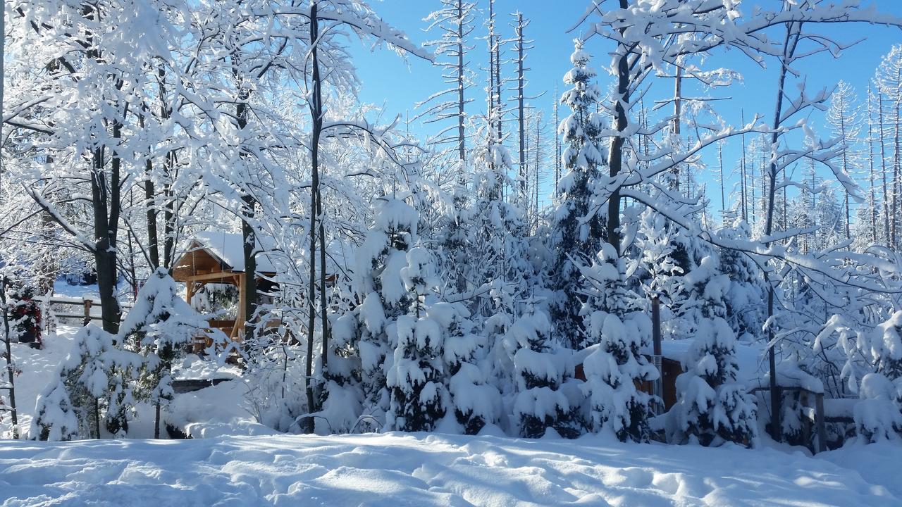 Willa Gusia, Apartamenty Zakopane Dış mekan fotoğraf