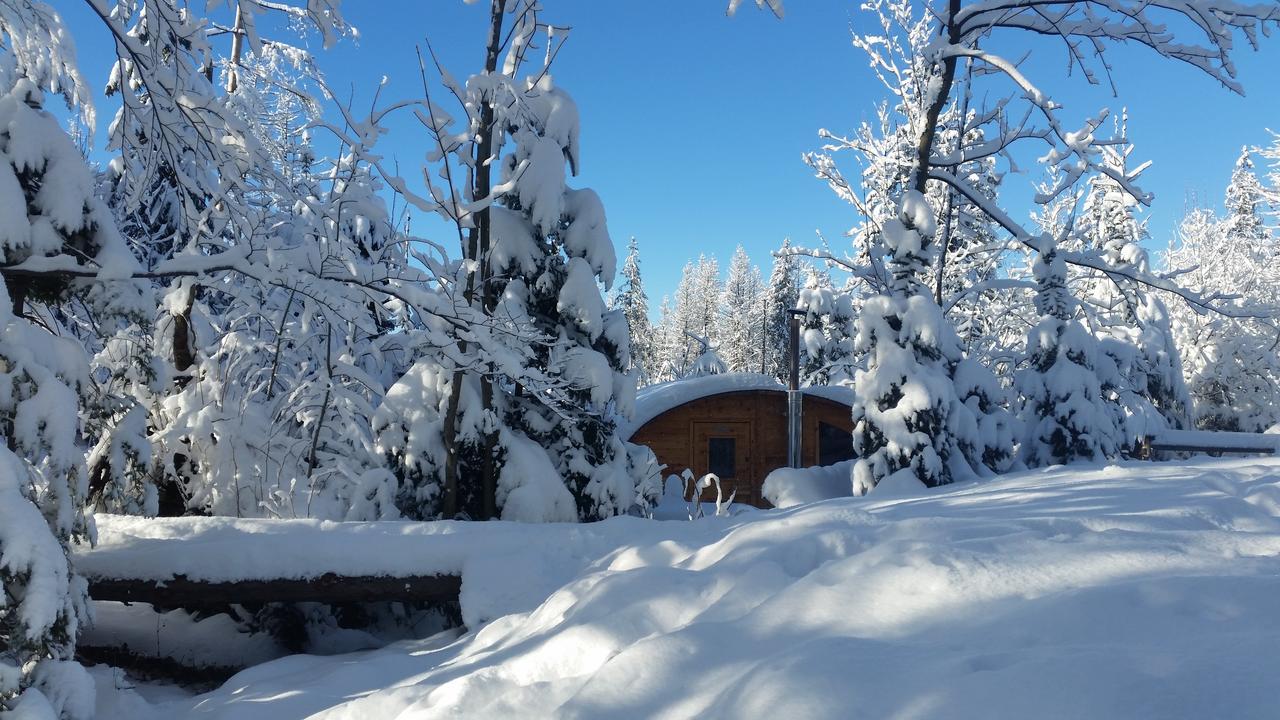 Willa Gusia, Apartamenty Zakopane Dış mekan fotoğraf