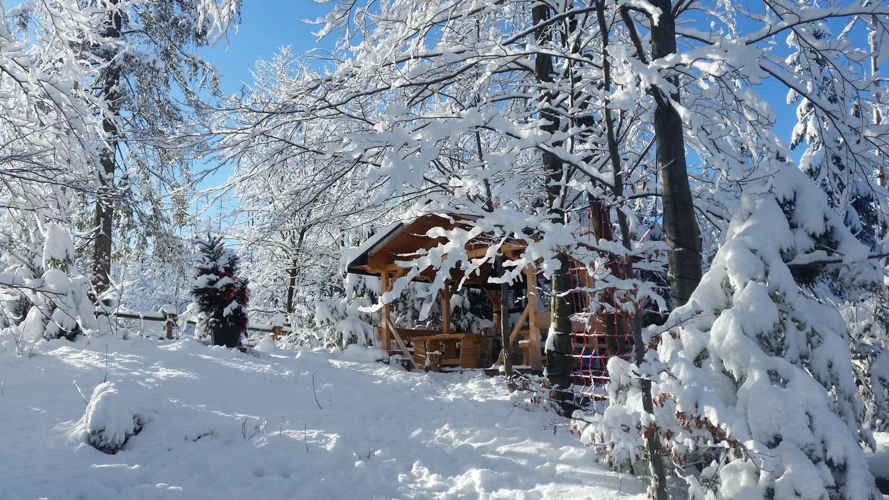 Willa Gusia, Apartamenty Zakopane Dış mekan fotoğraf