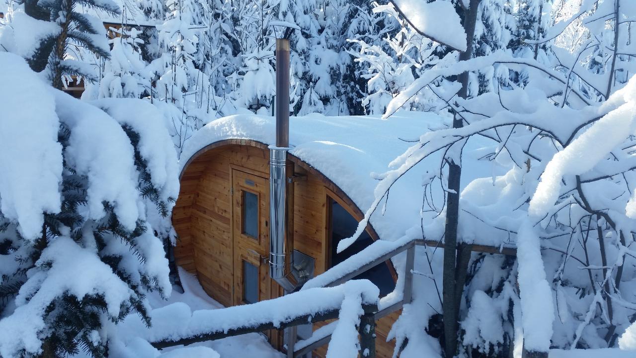 Willa Gusia, Apartamenty Zakopane Dış mekan fotoğraf